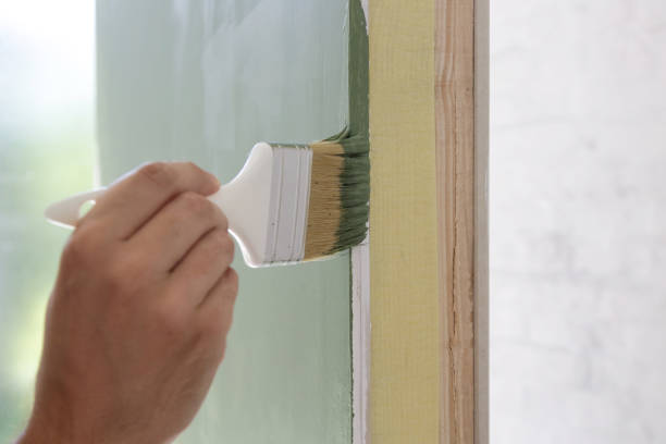 Best Mold Documentation for Insurance Claims  in Harvey, IL