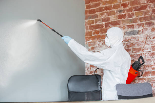 Best Forensic Mold Investigation  in Harvey, IL