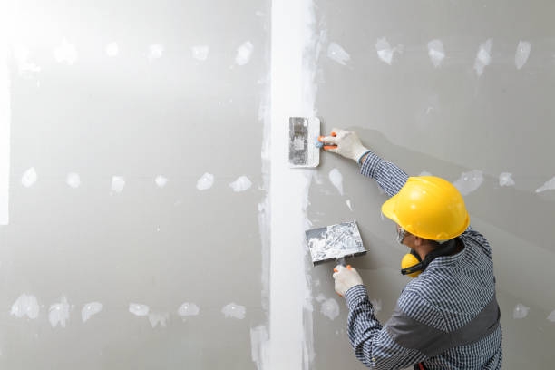 Best Mold Damage Restoration  in Harvey, IL