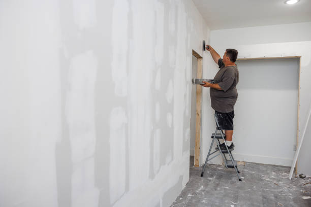 Best Residential Mold Inspection & Testing  in Harvey, IL