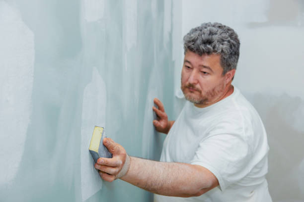 Harvey, IL Mold Removal Company