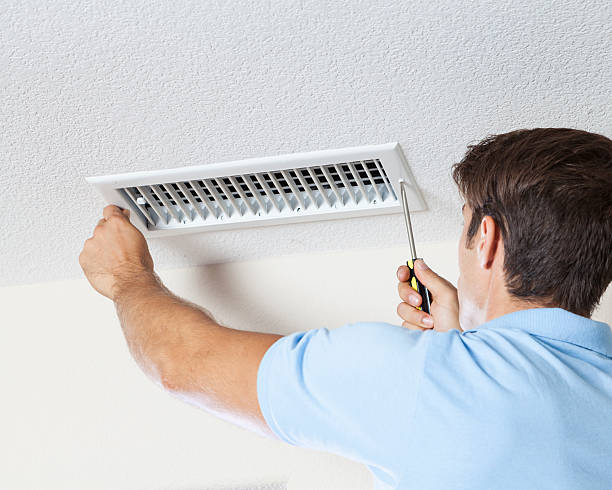 Best Dehumidification Services  in Harvey, IL