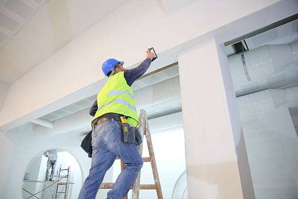 Best Real Estate Mold Inspection  in Harvey, IL
