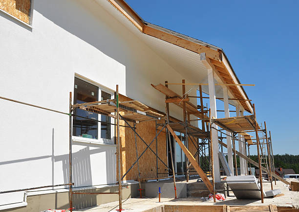 Best Industrial Mold Remediation  in Harvey, IL