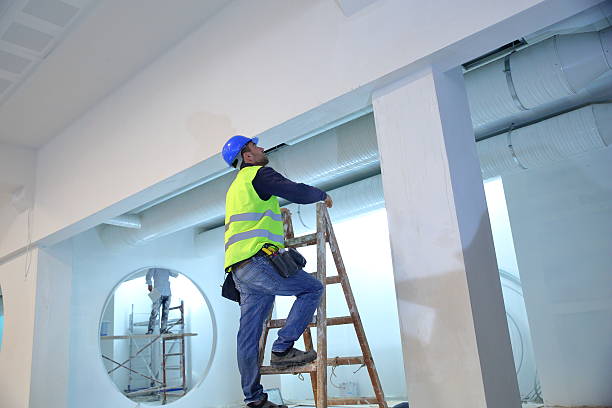 Best Industrial Mold Remediation  in Harvey, IL