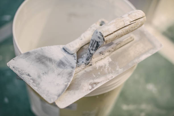 Best Environmental Consulting for Mold Prevention  in Harvey, IL