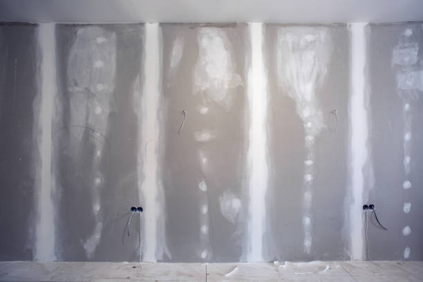 Mold Remediation for Rental Properties in Harvey, IL